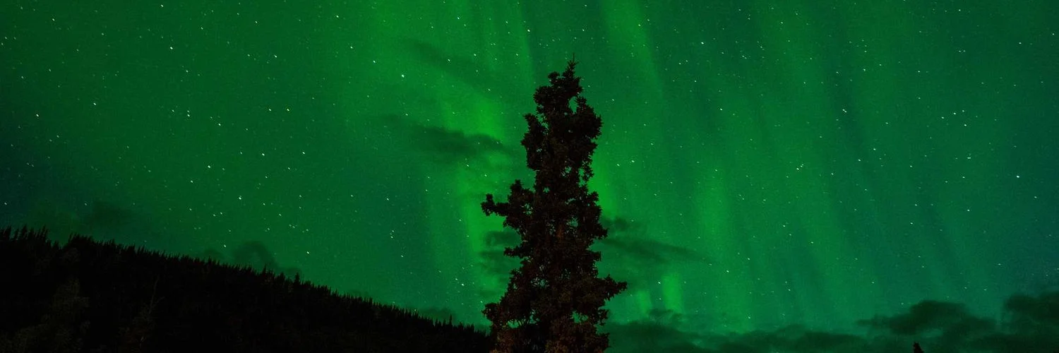 Peter McKinnon (banner)