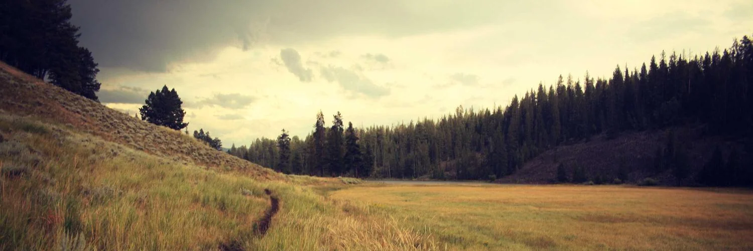 Jordan Welch (banner)