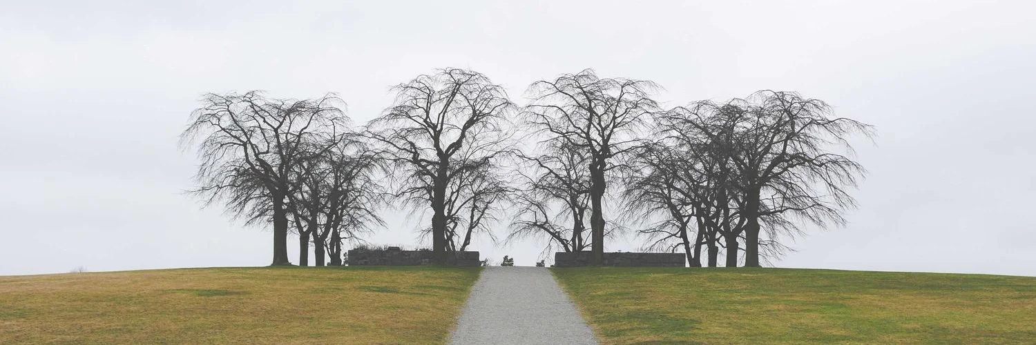 Casey Neistat (banner)